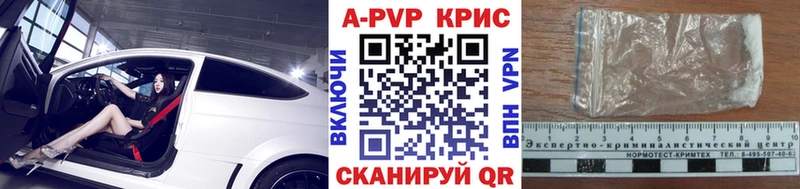 Купить где  Шагонар  A PVP крисы CK 