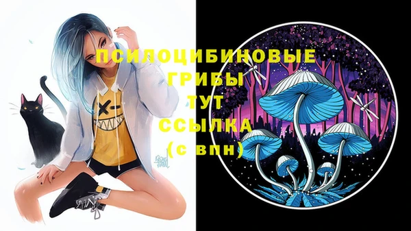 молекула духа Михайловск