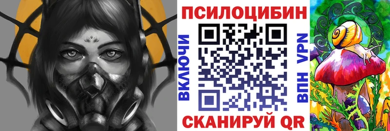 Купить где  Шагонар  Галлюциногенные грибы мицелий 