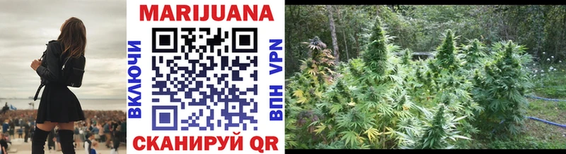 Бошки Шишки White Widow  Купить закладки  Шагонар 